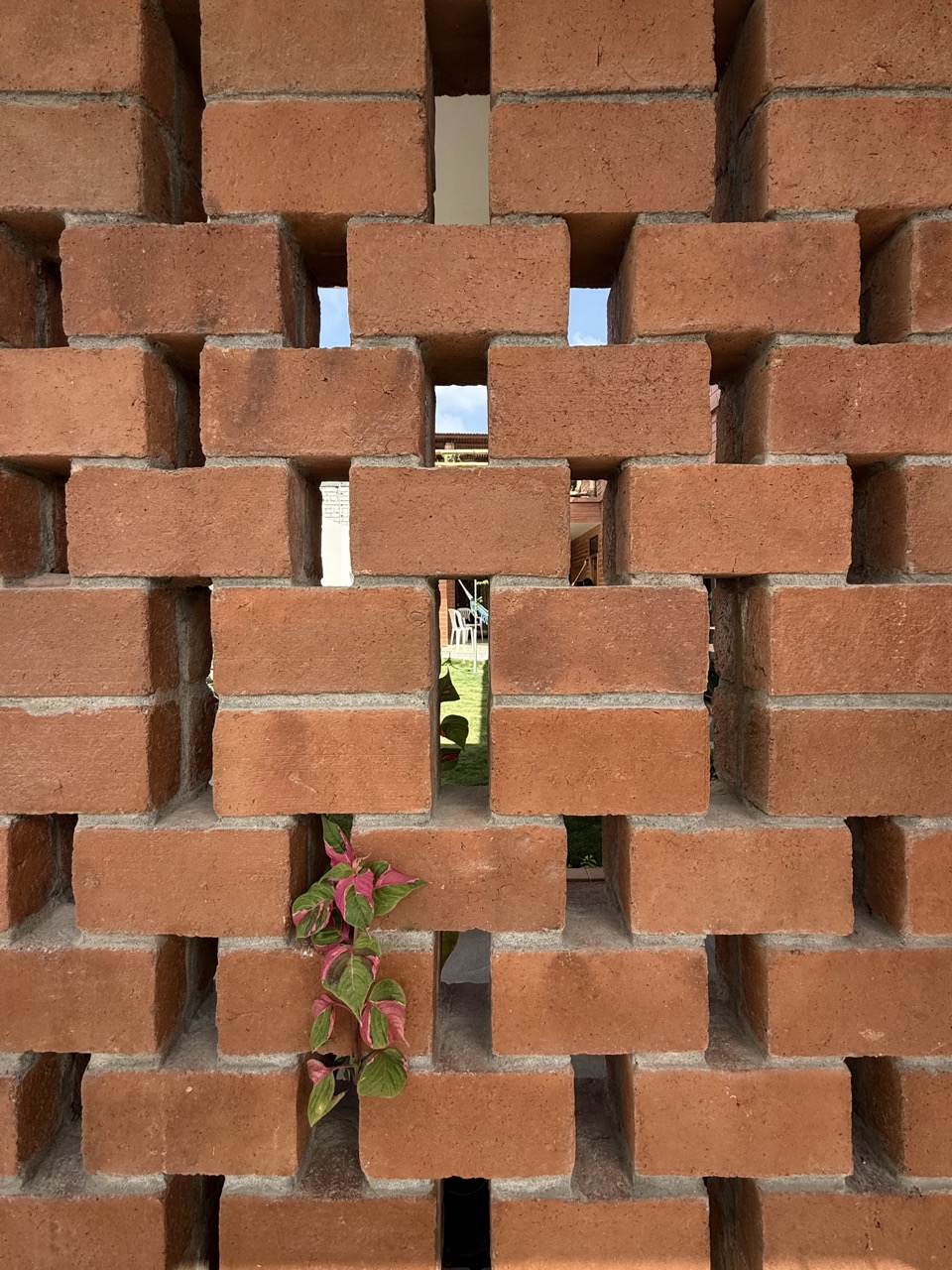 Stone path weaving through the courtyard garden